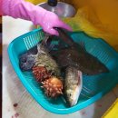 (주)아주 카페테리아 이미지