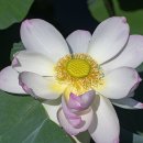 봉담호수공원 이미지