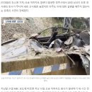 “지하차도 참사 3시간 전, 산사태로 오빠가 사망했습니다” 이미지