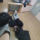 혜인이네꽃가게 | 조금은 덜 빛난다고 내가 별이 아닌 건 아니잖아