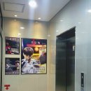 서산Y복싱클럽 이미지