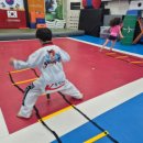 K용인대태권도장 이미지