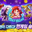 한슬롯 전자신문