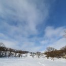 선 목장 이미지