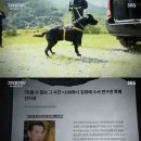 진범통상