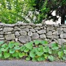 갈담2리 이미지