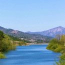 김두수「민들레」 이미지