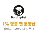 대구강아지분양 도로시펫 이미지