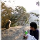 원플라스 이미지