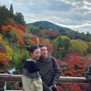 신토식당 | 가족여행 2편｜부모님과 가기 좋은 교토 일일 버스투어 후기 (후시미이나리·청수사·금각사·아라시야마)