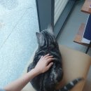 다호동물병원 이미지