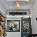 김쌤애견 이미지