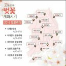 정아식당 네이버블로그