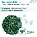 부여종합운동장 잔디구장 | #조달청우수제품 #인조잔디충전재 보충 #여주종합운동장-#웰니스인조잔디충전재