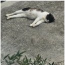 뮤즈 펜션 이미지