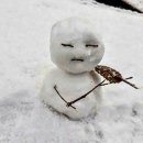 노원구보건소 이미지