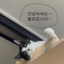 I.O.Lab 부산 | [부산 동래] 동래역 근처 단체 점심｜동래 단체 회식 강추 주도락, 점심 식사 후기😃✨