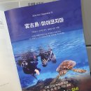 스쿠버208 네이버블로그