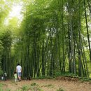 다슬기초량마을 이미지