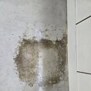 예일학원 | 은평구 예일발레학원 27평 바닥 송진가루 제거 청소