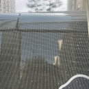 양주자이3단지 | [남양주 방충망] 양주자이 6단지 미세블랙스텐망 &amp; 벌레차단 패키지 시공 후기[청년방충망남양주점]