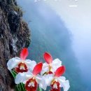 행복한하루 이미지