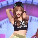 나이스포토 이미지