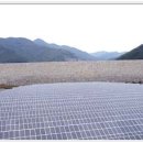 경남 밀양시삼랑진지역에 설치된 태양광 발전시스템 이미지
