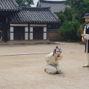 조선시대 이미지