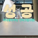펫마루 이미지