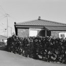 동일리-4 이미지