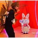 꼬니네회조개 이미지