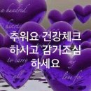 참밀 Daum카페