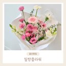 일랑플라워 | [울산 꽃집] 향기 가득한 하루, 일랑플라워에서 마음을 전달하세요!