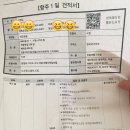 세진관광여행사 이미지