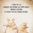 부동농장 이미지