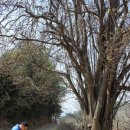 영남대로 이미지