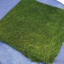 사창3리 이미지