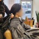 보희미용실 | 울산 신정동 미용실 남구 아보헤어 클리닉 5만원 이벤트