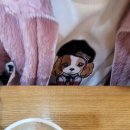본죽 수성구청점 네이버블로그