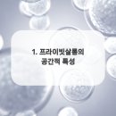 프라이빗 커피숍