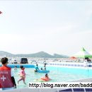 박철목장 네이버블로그
