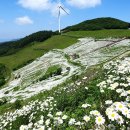 육백마지기 이미지