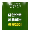 법인구례삼촌