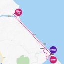 경포파인 이미지