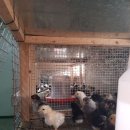 청계유통 이미지