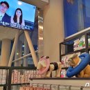 로얄동물메디컬센터 본원 이미지