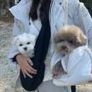 개프탑라운지 이미지