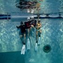 프리커뮤니티 | F45 커뮤니티 고고다이브 프리다이빙 후기