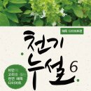 해독박사다이어트